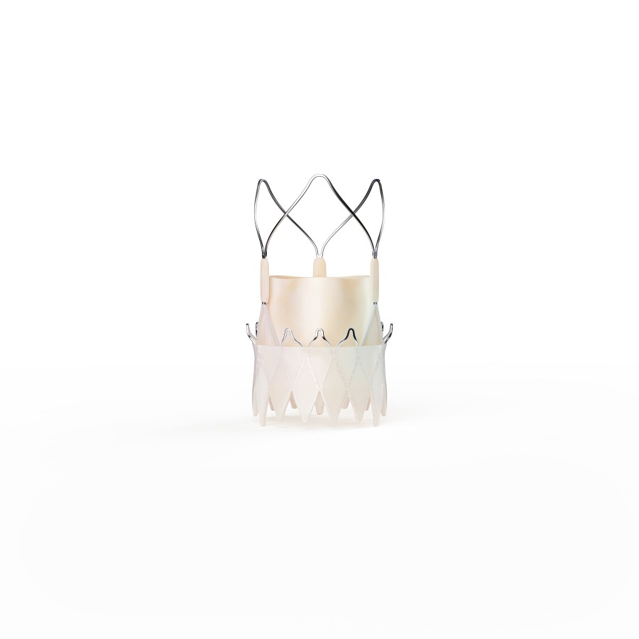 ACURATE neo2™ Aortic Valve System.