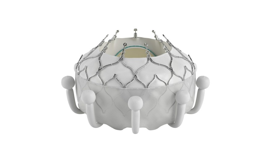 Edwards Lifesciences EVOQUE transcatheter tricuspid valve replacement system.