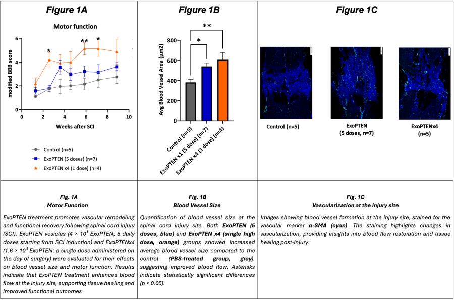 ExoPTEN treatment with different dose regimens